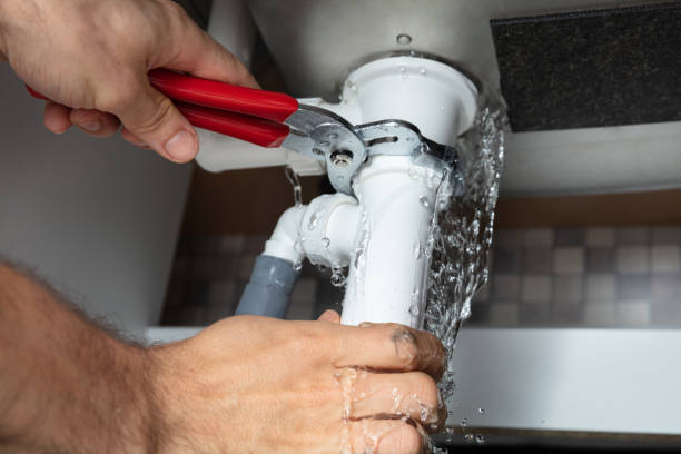 Best Mold removal after water damage  in Panguitch, UT