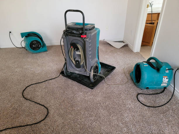 Panguitch, UT Water damage restoration Company