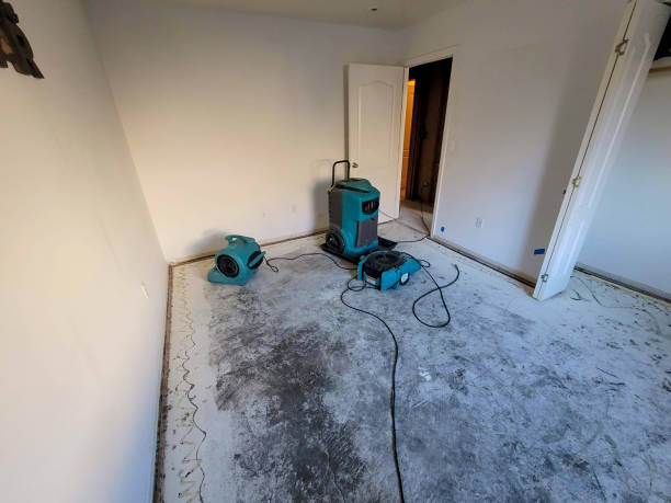 Best Residential water damage restoration  in Panguitch, UT