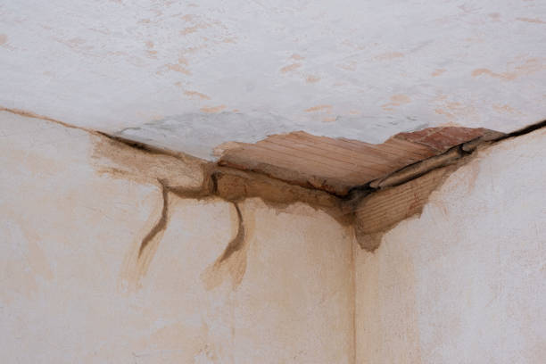 Best 24/7 water damage repair  in Panguitch, UT