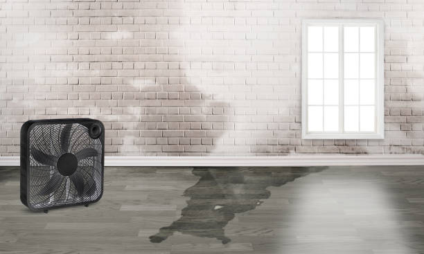 Best Water damage restoration near me  in Panguitch, UT