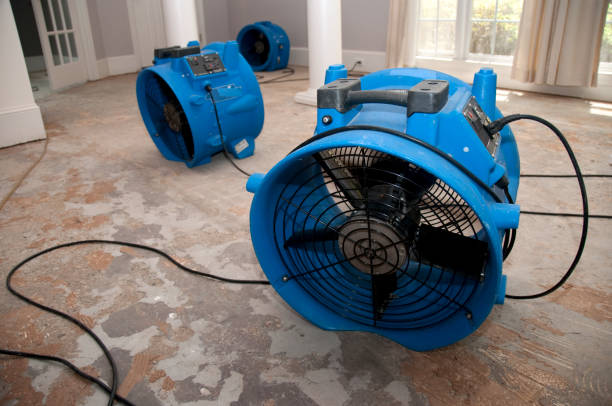 Best Basement water damage restoration  in Panguitch, UT