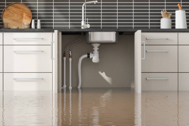 Best Commercial water damage restoration  in Panguitch, UT