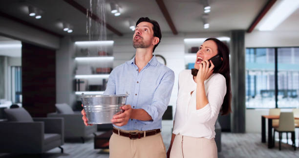 Best Carpet water damage restoration  in Panguitch, UT