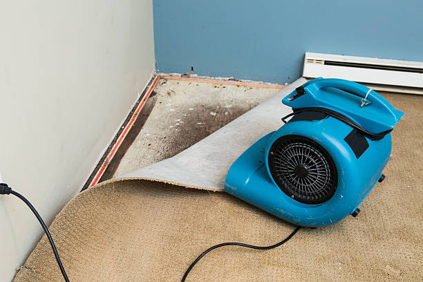 Fire Damage Restoration in Panguitch, UT